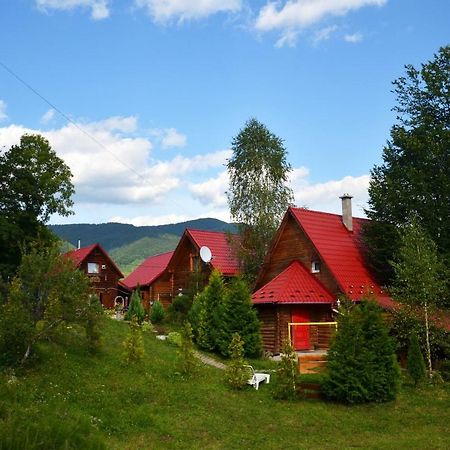 Teremok Guest House Вышка Экстерьер фото