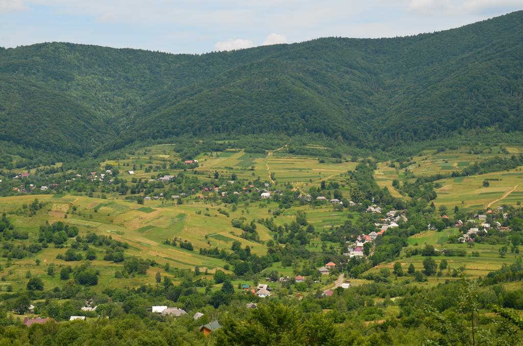 Teremok Guest House Вышка Экстерьер фото