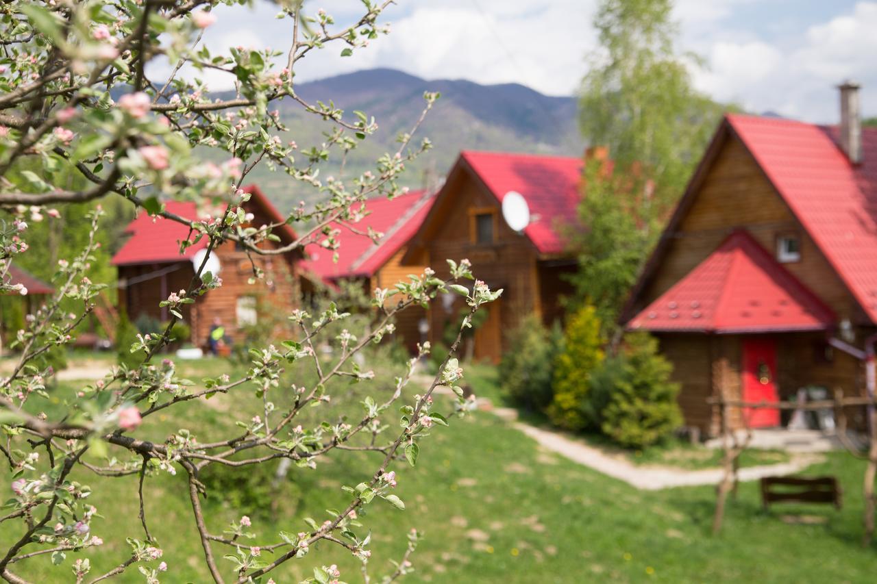 Teremok Guest House Вышка Экстерьер фото