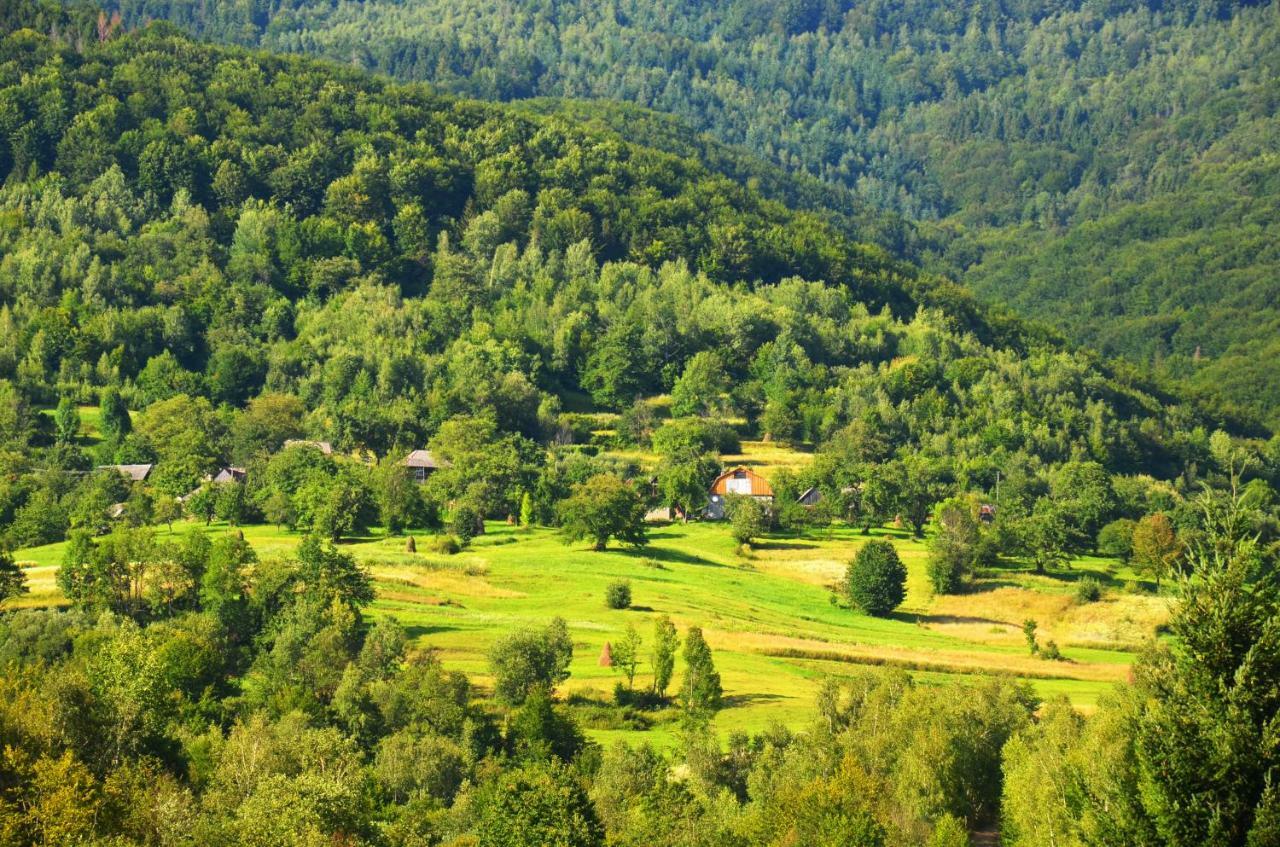 Teremok Guest House Вышка Экстерьер фото