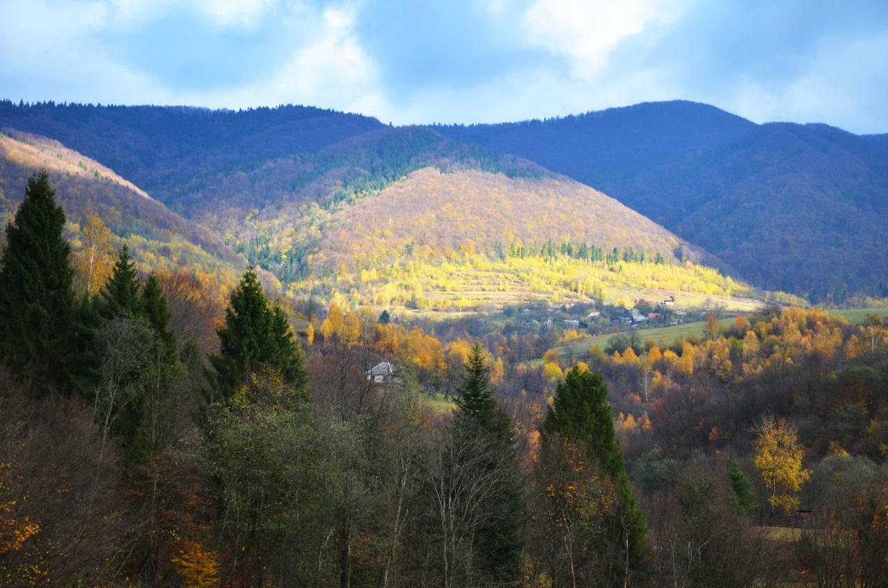 Teremok Guest House Вышка Экстерьер фото